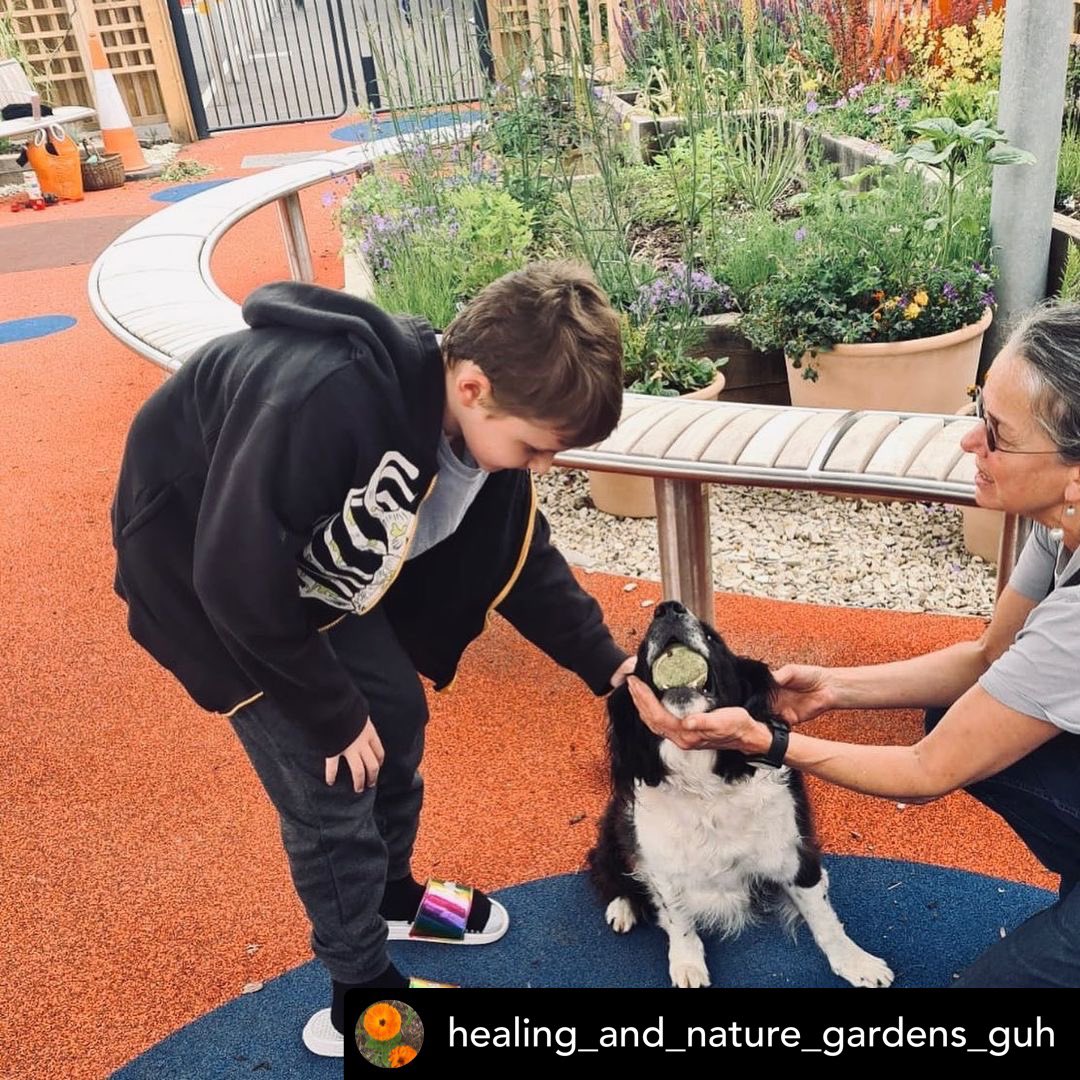 Studio Response / Stwdio Ymateb (@studio_response) on Twitter photo Repost from the wonderful @cecilejohnsonsoliz “At the Healing and Children’s Nature Gardens yesterday where I’m artist in Residence. You can follow progress and see what I’ve been planting on my new Instagram page- healing_and_nature_gardens_guh” <a href="/AneurinBevanUHB/">Aneurin Bevan University Health Board</a> Repost from the wonderful @cecilejohnsonsoliz “At the Healing and Children’s Nature Gardens yesterday where I’m artist in Residence. You can follow progress and see what I’ve been planting on my new Instagram page- healing_and_nature_gardens_guh” <a href="/AneurinBevanUHB/">Aneurin Bevan University Health Board</a>