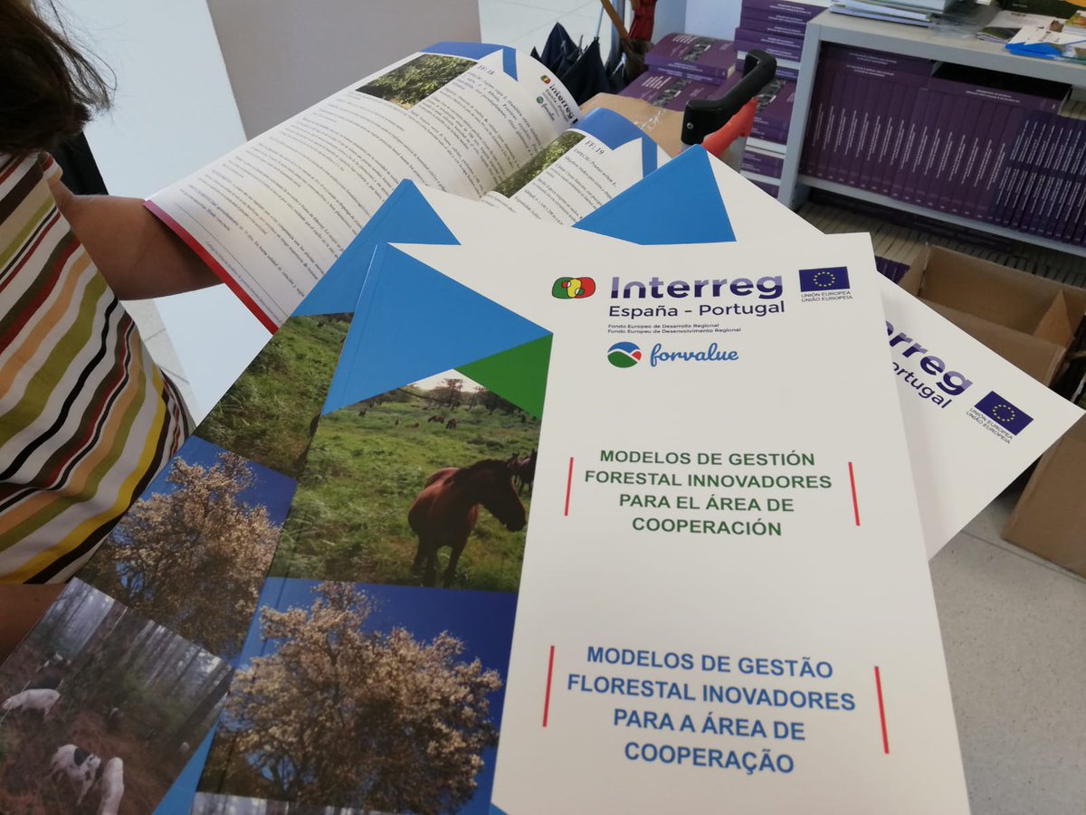 🆕 Xa os temos aquí! Recén saídos da imprenta para distribuír entre os socios do Proxecto Forvalue. Podes descargar a versión en PDF na seguinte ligazón.

Modelos de xestión forestal innovadores:

laborate.usc.es/r/modelos_forv…

<a href="/AFG_asociacion/">Asociación Forestal de Galicia - AFG</a> @IET_Xunta <a href="/ipvc_twit/">IPVC</a> <a href="/CIFLourizan/">CIF de Lourizán</a>