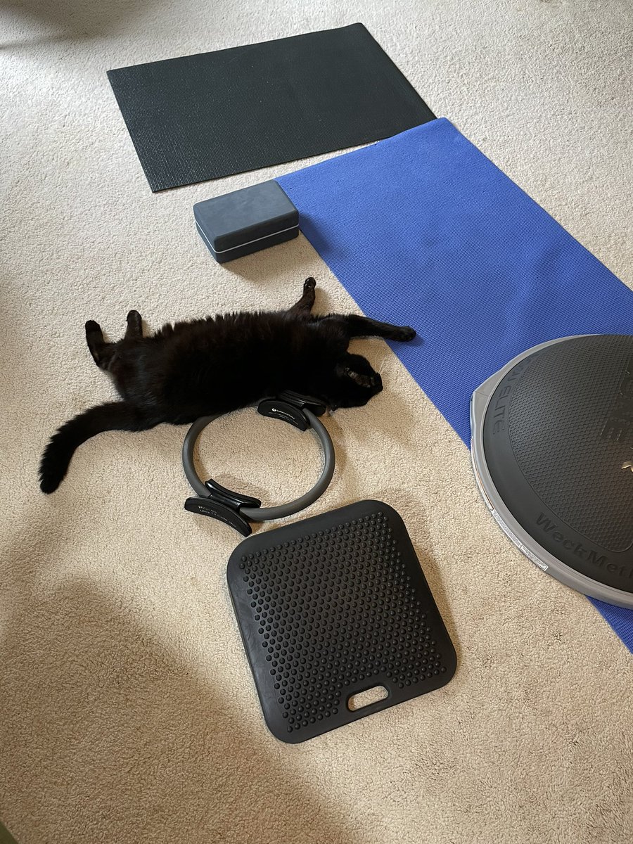 RageCook's tweet image. The Schwartz demonstrates his own side plank #catPilates