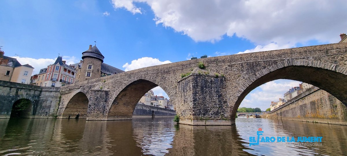 FoodTravelTL's tweet photo. #Laval, una ciudad cargada de historia, que me sorprendió gratamente desde el Río La #Mayenne. Desde la oficina de Turismo Laval se alquilan unas barcas para que puedas conocer esta cuidad desde otra perspectiva 📸
@LavalTourisme @lamayenne @paysdelaloire
#enpaysdelaloire https://t.co/6kE3aeWMlZ