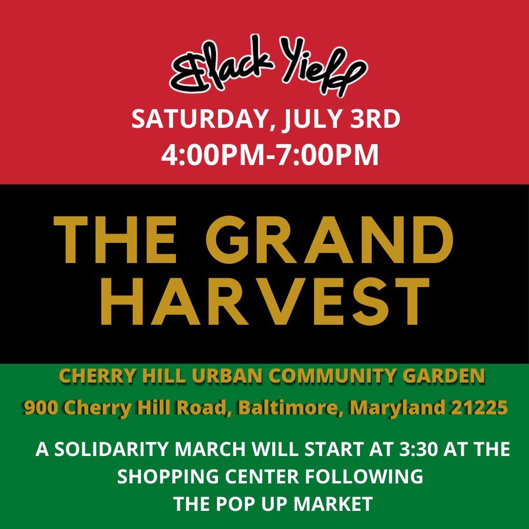 Black Yield Institute tweet media