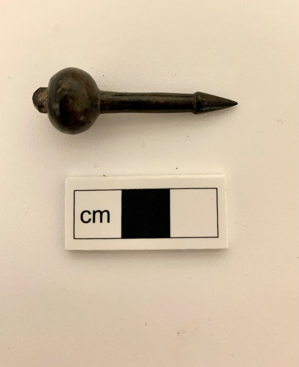 AS_WYAS's tweet photo. Its #FindsFriday everyone! Look at these delicate little objects from a lovely waterlogged site in West Yorkshire. https://t.co/8ly7kLVXy2