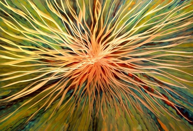 A. Weiss Custom Copper Design cuts, crimps, and heat-treats copper with natural chemical reactions, forming paintings and sculpture. 

Visit A. Weiss Custom Copper Design at ArtFest Midwest this June 26 + 27!

#AFMW #ArtFestMidwest #artistspotlight