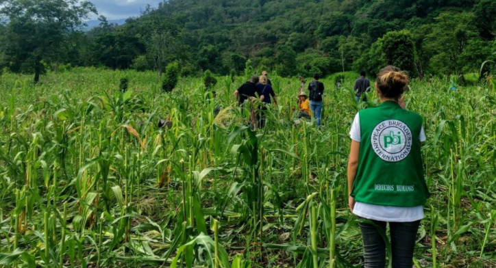 "If we run out of defenders of the land, we run out of food." - National Union of Rural Workers (CNTC) Progreso. More at: x.com/PBIHonduras/st… #PBIaccompanies