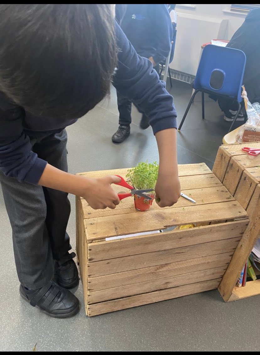 dmn_ks1's tweet photo. KS1 enjoying their home-grown cress in an egg sandwich! #yummy #unity @dixonsmnp https://t.co/2mqCqDDecw