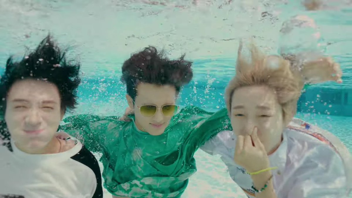 ภาพหายาก ซามอยด์ สิงโต ลูกแมวดำน้ำ น่าเอ็นดูมาก หน้าบู้บี้ไปหมด อ้ยยย มู__มู