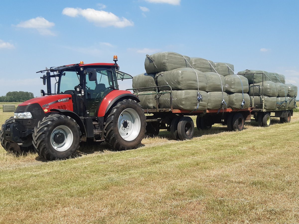 Vorige week beheersgras gemaaid. Een gedeelte laten staan omdat er nog jonge grutto's inzaten. Nu een week later de rest gemaaid. Was nog maar 1 vogel te zien. Een ooievaar, alle weidevogels weg. #predatie. En de boer krijgt weer de schuld😬