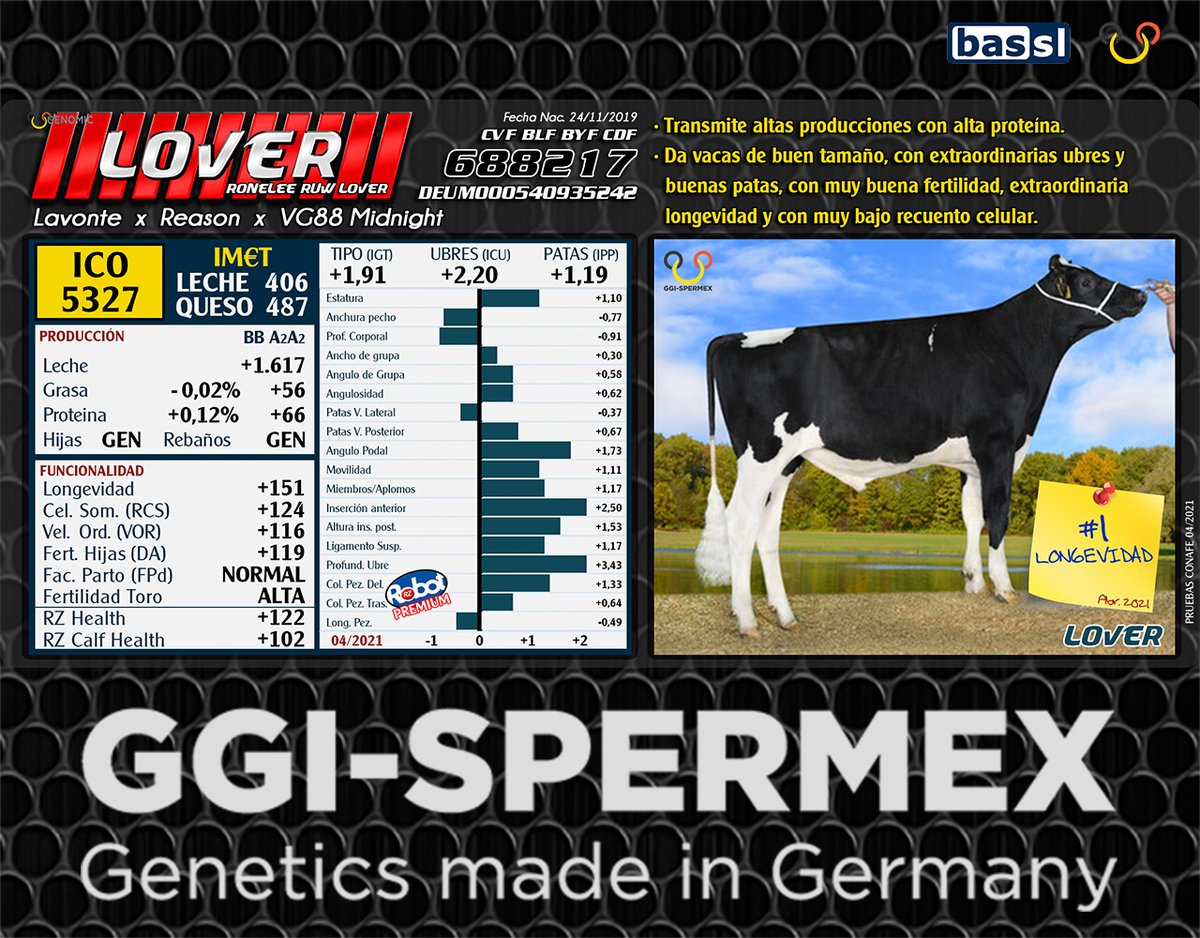 ImportExportBAS's tweet photo. LOVER DEUM0540935242
Lavonte x Reason x Midnight
ICO 5327 #1 LONGEVIDAD! 04/21
Altas producciones con alta proteína, extraordinarias ubres, extraordinaria longevidad con muy buena fertilidad y con muy bajo recuento celular.
BB A2A2, Parto normal.
Mas info: https://t.co/ze2y1gfzCl https://t.co/W4DvOoQC1U
