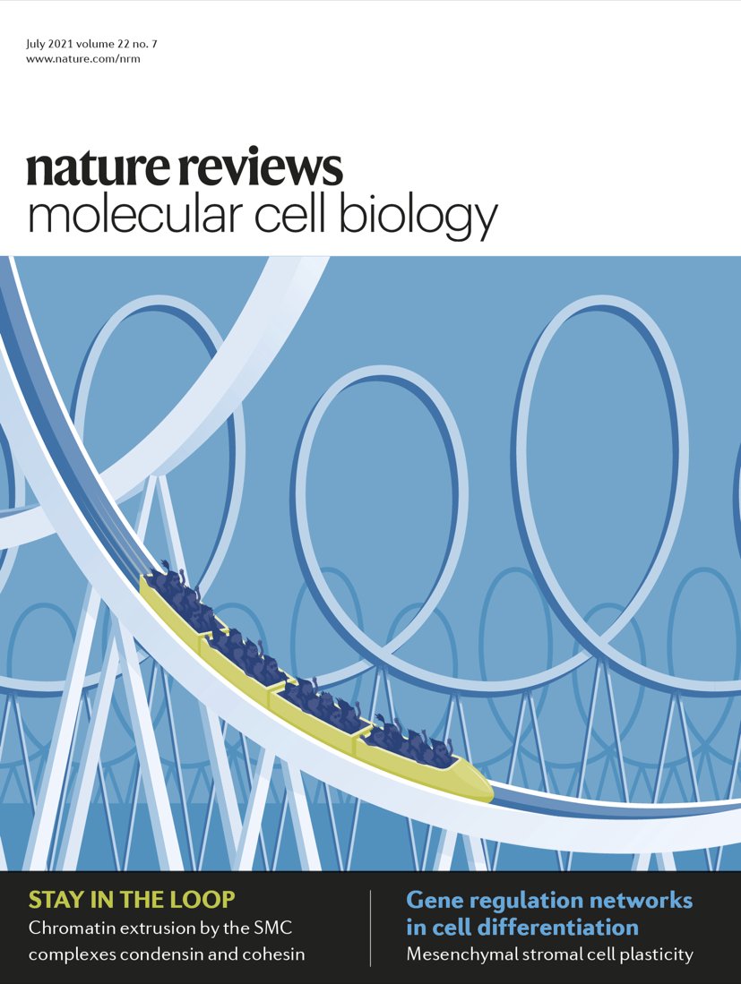 On July cover
#Review by Iain Davidson and Jan-Michael Peters <a href="/IMPvienna/">IMP</a> on SMC complexes in genome folding

#ChromatinFolding #3Dgenome

go.nature.com/3cUKCS9