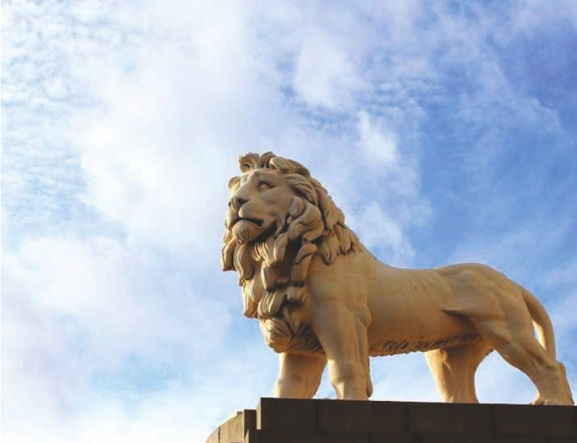 Conservation News tweet media