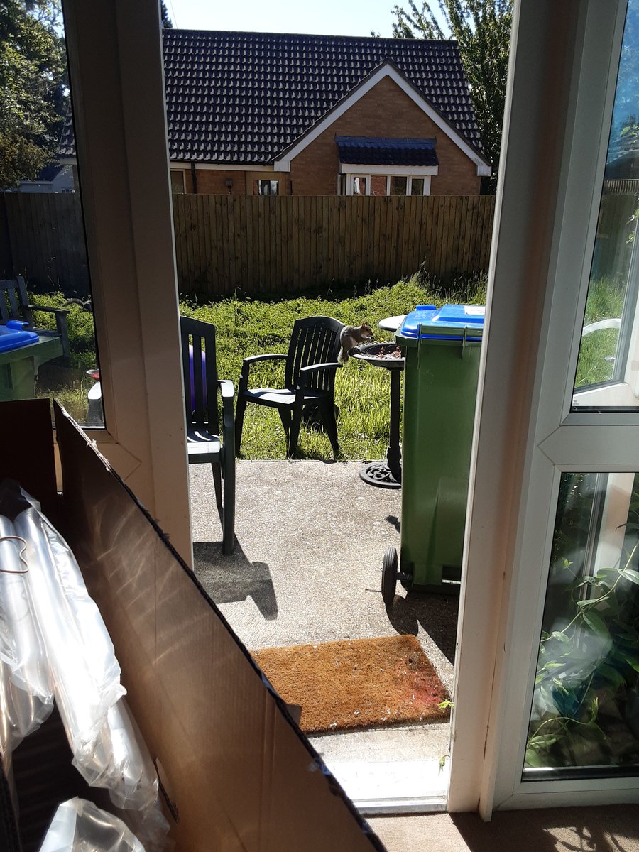 Sam Westmoreland tweet media