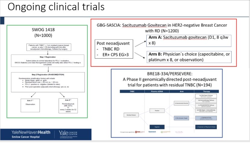 #breastcancer #ASCO21 #YaleASCO21 @YaleCancer 

What is next after #OlympiA and @eaonc EA1131 for #TNBC  ?  A panel discussion with @SMougalian #LajosPusztai and #NeilFischbach #bcsm