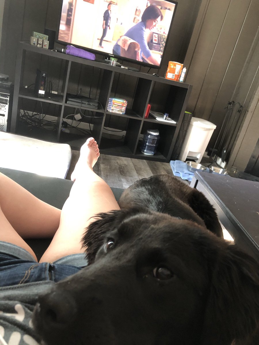 Queen_Stephyy's tweet photo. Sorry for not streaming all week you guys, we just got a foster puppy and I’ve been busy as hell. Doing @FallGuysGame tonight and @RocketLeague tomorrow night tho! 9pm MDT! See you then! 🙌🏻 
Pic of puppy for tax 😝

#SupportSmallStreamers #SmallStreamerCommunity #twitchstreamer https://t.co/Hn3Kfu7FqY