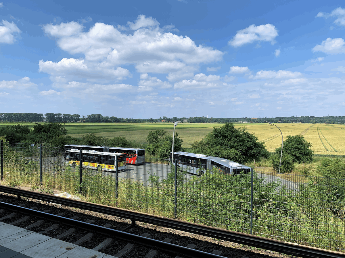 Weites unversiegeltes Land in Billwerder. Mit ganz viel Leben drin, drunter und drüber. Mit bloßem Auge nimmt man das gar nicht so wahr. Wer an der Fläche etwas verweilt, der bekommt es schon mit!
#Kulturlandschaft #Flächenfraß #Bauwahn #Hamburg #Bergedorf #Allermöhe