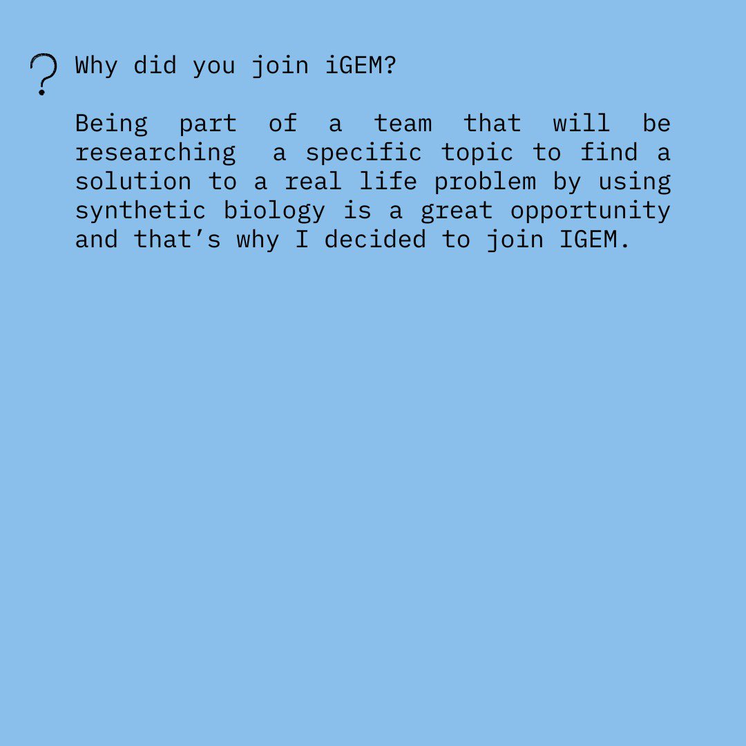 Meet out next member: Beana ✨ Stay tuned for out other members 🎈