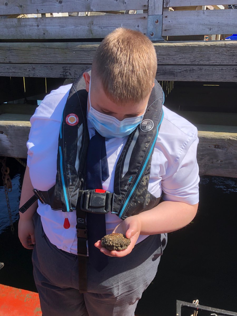 svinsome's tweet image. Highlight of the week: Norham  Ecowarriors visit to The Wild Otster Project inspired seeing conservation in action @NorhamScience @norhamhigh @EcoSchools @Wild_Oysters
