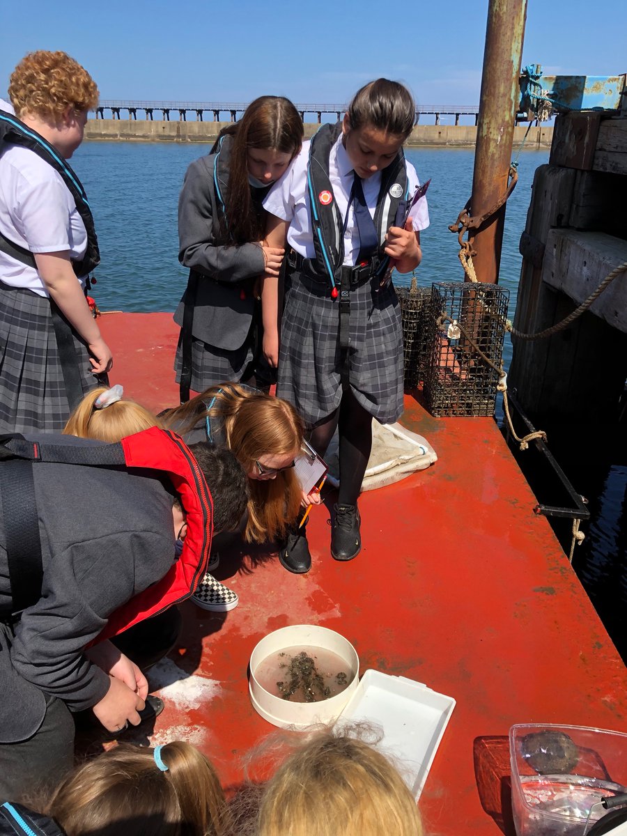 svinsome's tweet image. Highlight of the week: Norham  Ecowarriors visit to The Wild Otster Project inspired seeing conservation in action @NorhamScience @norhamhigh @EcoSchools @Wild_Oysters