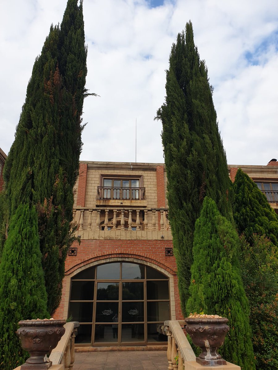OrionHotels's tweet photo. @VelmoreHotel features unique architecture, combining both modern and traditional elements, with a hint of French architecture combined with well-manicured lawns.

We can't wait to welcome all our guests back to ...
#VelmoreHotel #OrionHotels #Erasmia #Hotels #Pretoria #WeMissYou https://t.co/pqJ9nL6yTQ