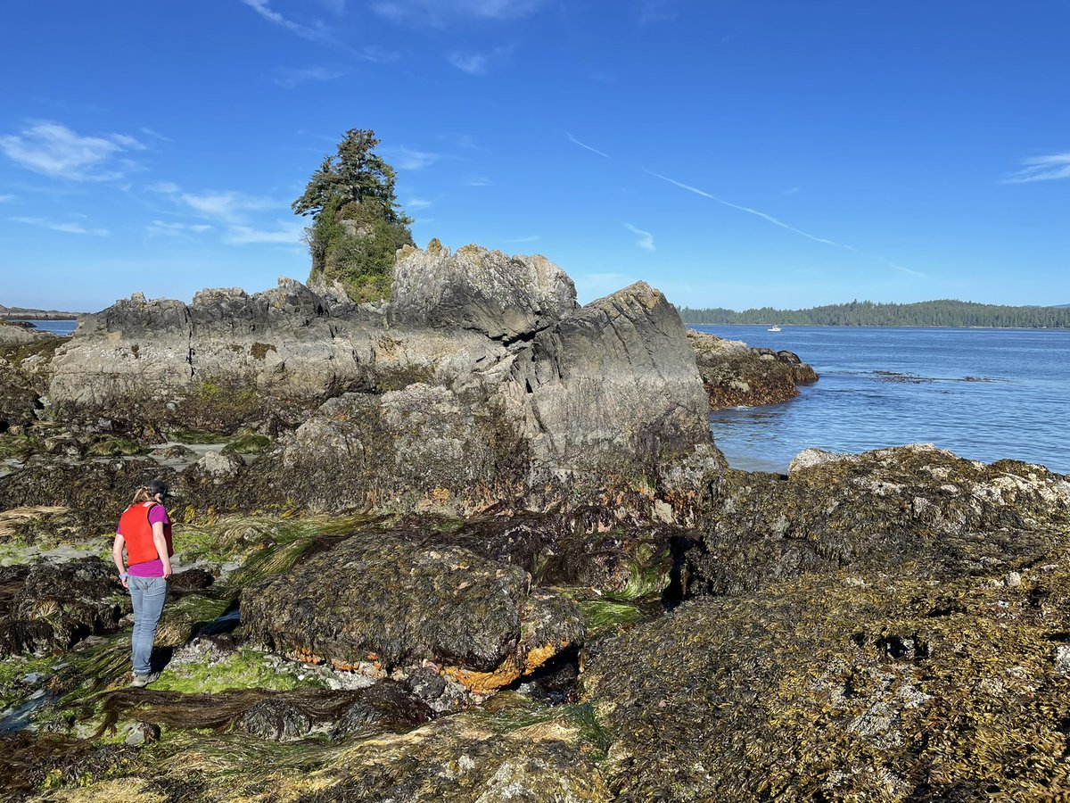 BamfieldMSC's tweet image. Preparing for the final #BMSCLive show of the season!