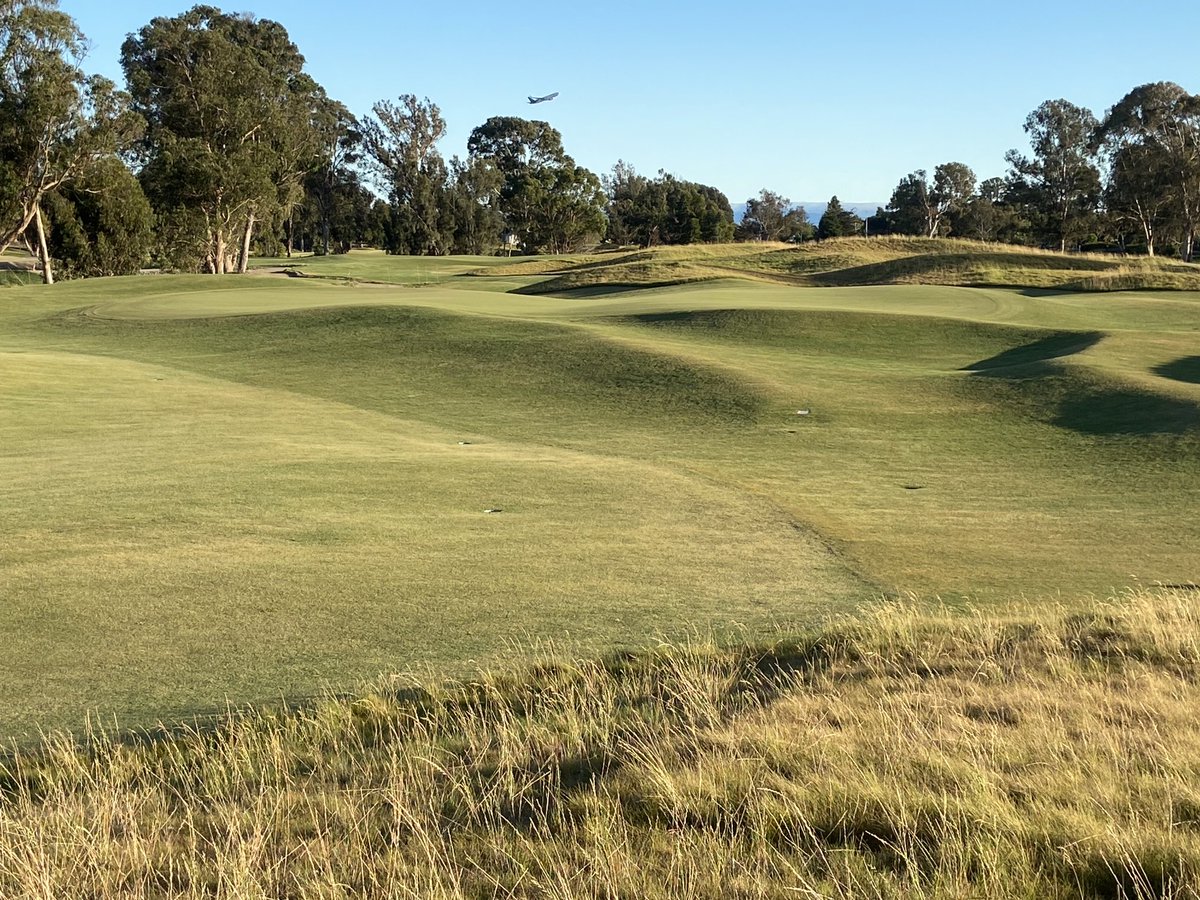 More creative contouring, this across the face of the 5th green, a short par 5 at Corica Park North.