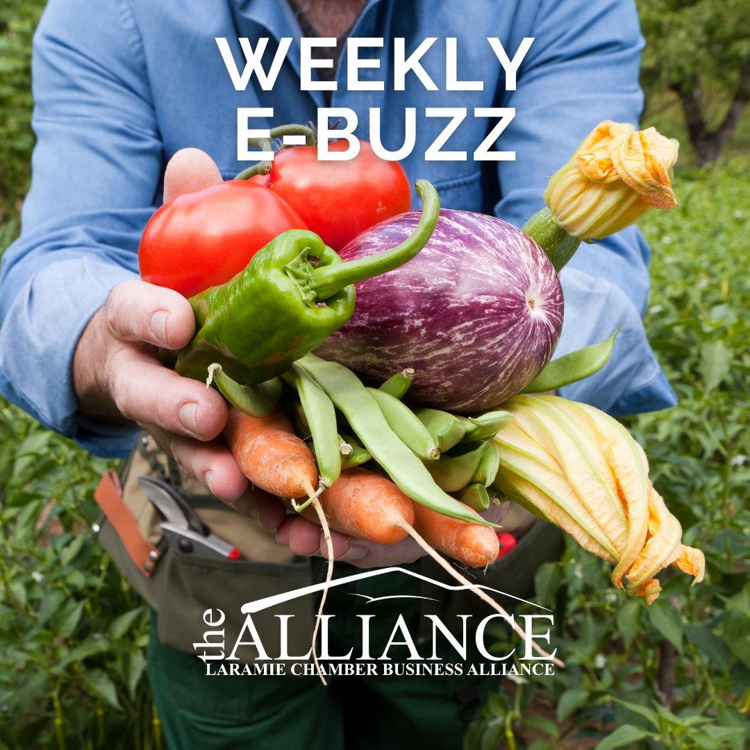It's a Farmer's Market Friday! Our friends at the Laramie Main Street Alliance are the experts on all local shopping! Check out this week's e-newsletter for more summer fun. 😍