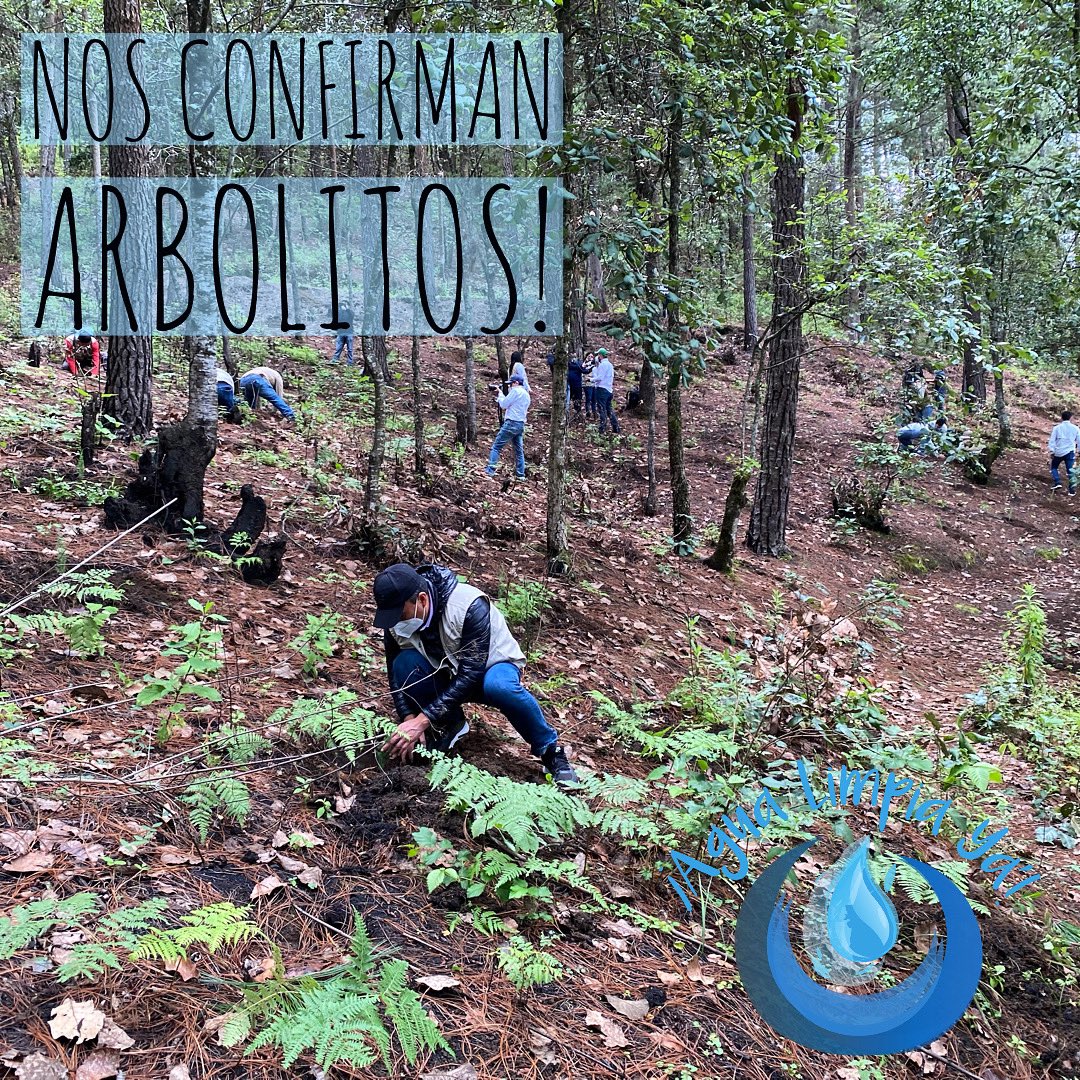 Agua Limpia Ya tweet media