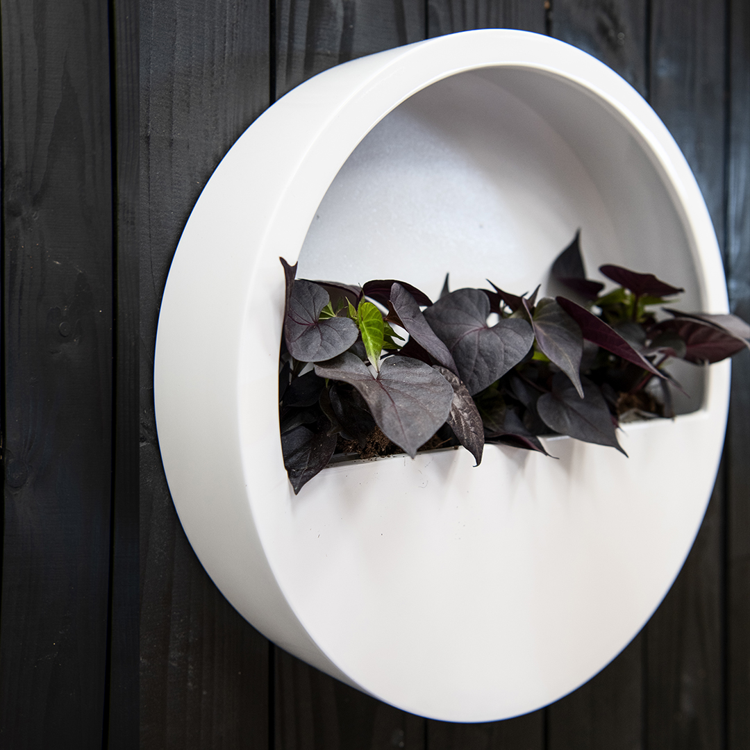potterypots's tweet photo. The different Wally's are part of our  Essential collection. ⠀
⠀
These beautiful outdoor Wally's are high quality waterproof planters for your wall decoration.

You can also see our wallys at the Atlanta Market in the AmericasMart Atlanta.

13 - 19 July 2021 | B2 9-9A17 | https://t.co/WhC8cpD8oi