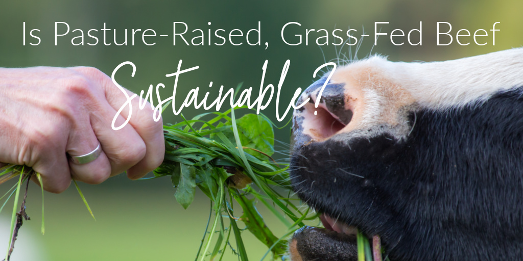Is pasture-raised beef more sustainable? Advocates say yes... but I call bull. Find out why over on the blog >>> whitneyerd.com/2021/06/is-pas…