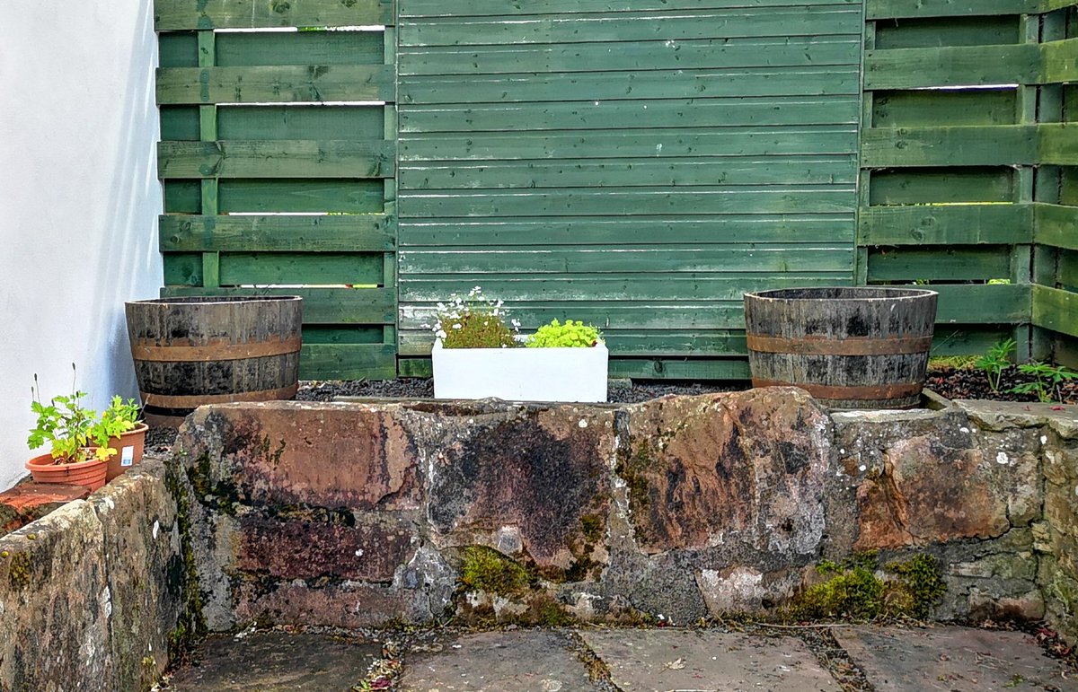 A massive THANKYOU to <a href="/Business_Micros/">Business Micros (part of Forterro)</a>, Penpont, who have very generously donated two whisky barrels  and arranged to have them planted, for our new cycle area next to our community cafe garden.
We can't wait to see them planted up and looking 'blooming' lovely. Thankyou! ☺️