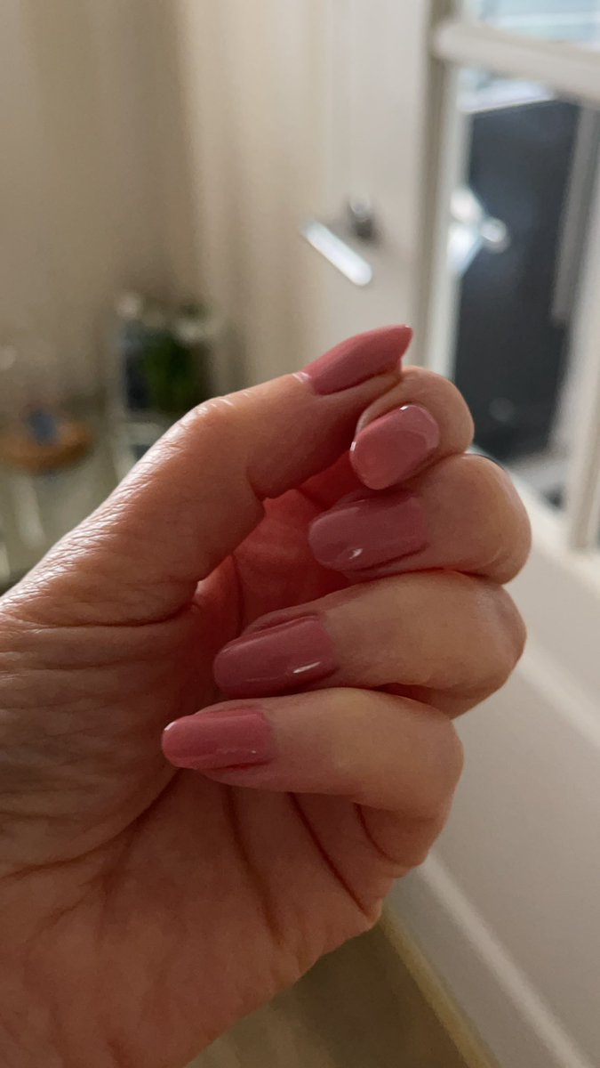 June Hurst 🐈‍⬛🐝🦔🌷🌻🇮🇱 tweet media