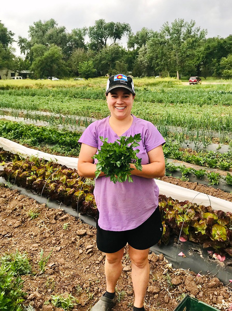 SunriseRanch's tweet photo. Our gardens are going crazy with healthy growth! 

#sunriseranch #spiritualawakening #letloveradiate #spirituality https://t.co/p9vy4NywrR