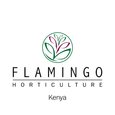FairtradeAfrica's tweet photo. The winner for the Environmental Champion Hired Labour is:
Flamingo Horticulture Kenya
#FairtradeAfrica
#ProducersLead
#AfricaFairtradeConvention
#FairNgomaAwards https://t.co/SshDd5duvH