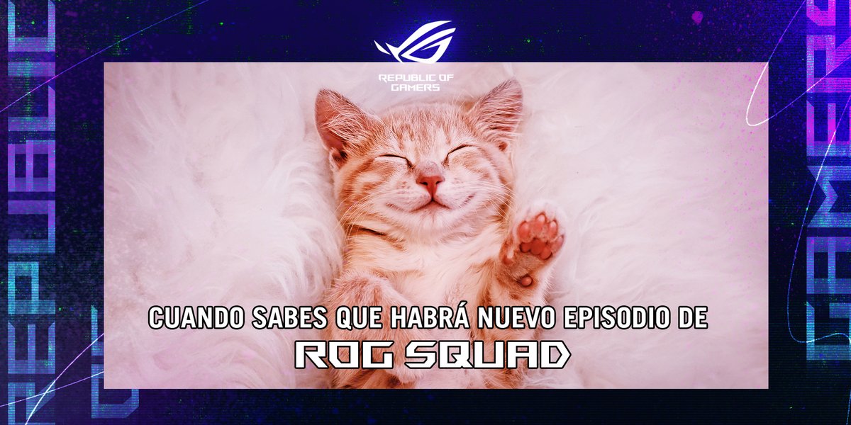 MXASUS's tweet photo. ROGers, @happymusarana 😺, @Cherrigan🍒 y @NinaRata777 🐭 están preparando el nuevo episodio de ROG Squad. Mientras pueden volver a ver el capítulo 8 con puro flow de Warzone🔫 -> https://t.co/FCZUpvaju1 

#FelizViernesATodos #ROGirls #ROGSquad https://t.co/GsHh2zedVn