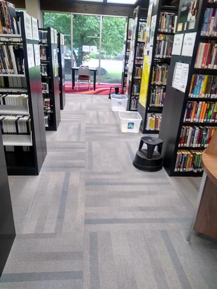 AmoryLibrary's tweet photo. We are enjoying our new carpet! Many thanks to all who helped to make this possible! Current hours are Monday through Friday from 9 a.m. until 5 p.m. Amory Municipal Library 662-256-5261. #newcarpet #smile #yeswearestilltiredlol #looksbetter #cleanandfresh #books #librarylife https://t.co/rQH5frTNNm