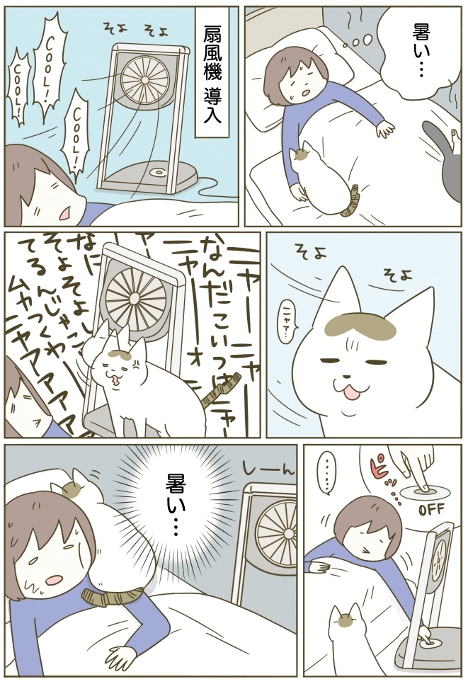 猫と扇風機 