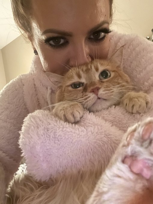 I love my little pumpkin loaf https://t.co/de9G62wR18<a href="/tag/rt"class="tags"><span>#rt</span></a><a href="/tag/cheeseheads"class="tags"><span>#cheeseheads</span></a>