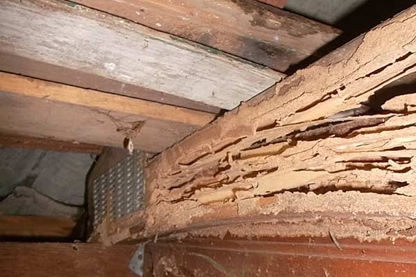 This is a true story, can't make it up!  In Centre County a group of people were asked to leave a Home Depot because they were doing an exorcism on the lumber!  It has been looking a bit wonky lately.