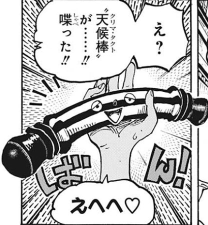 ワンピース ナミとゼウスは最強の相棒 二人の関係を徹底考察 2ページ目 Selvy