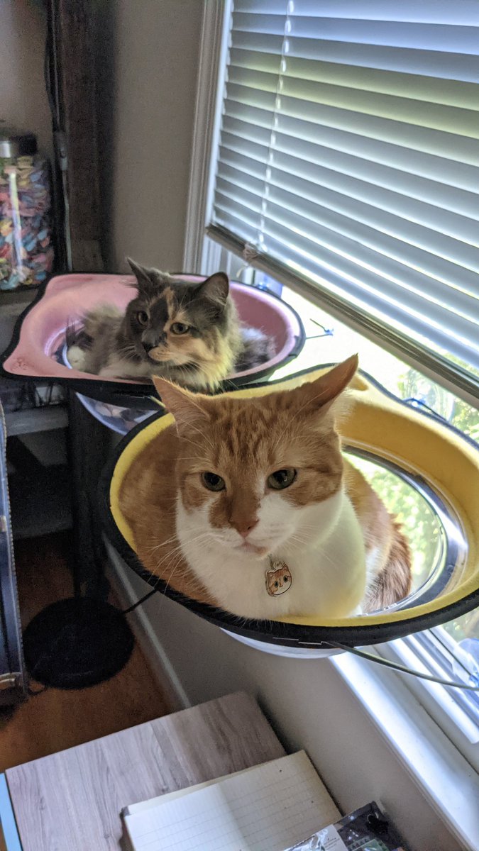 biteybigboy's tweet photo. both båbbes on the spåce bed https://t.co/LFlpYo3WRD