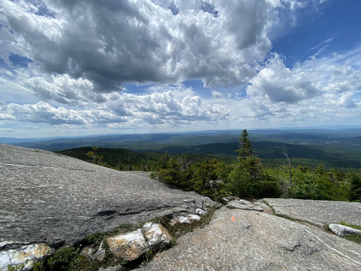 Neep McFarlane tweet media