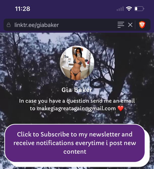 Also if you go to my linktree in my bio you will be able to see a newsletter link, if you input your