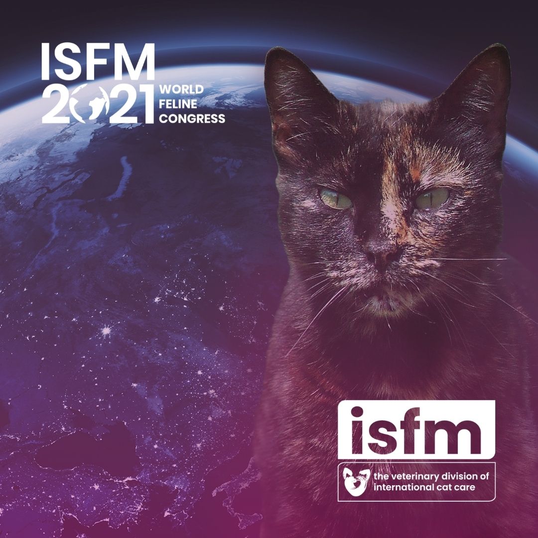 ISFMcats's tweet photo. Day 1 of the ISFM World Feline Congress 2021, has ended. We've had some incredible talks with so many feline experts eager to share their knowledge with us. Let us know in the comments what you enjoyed!
#ISFMWorldFelineCongress2021 #FelineLearning #ComplexCats https://t.co/QZZXx4B8cT