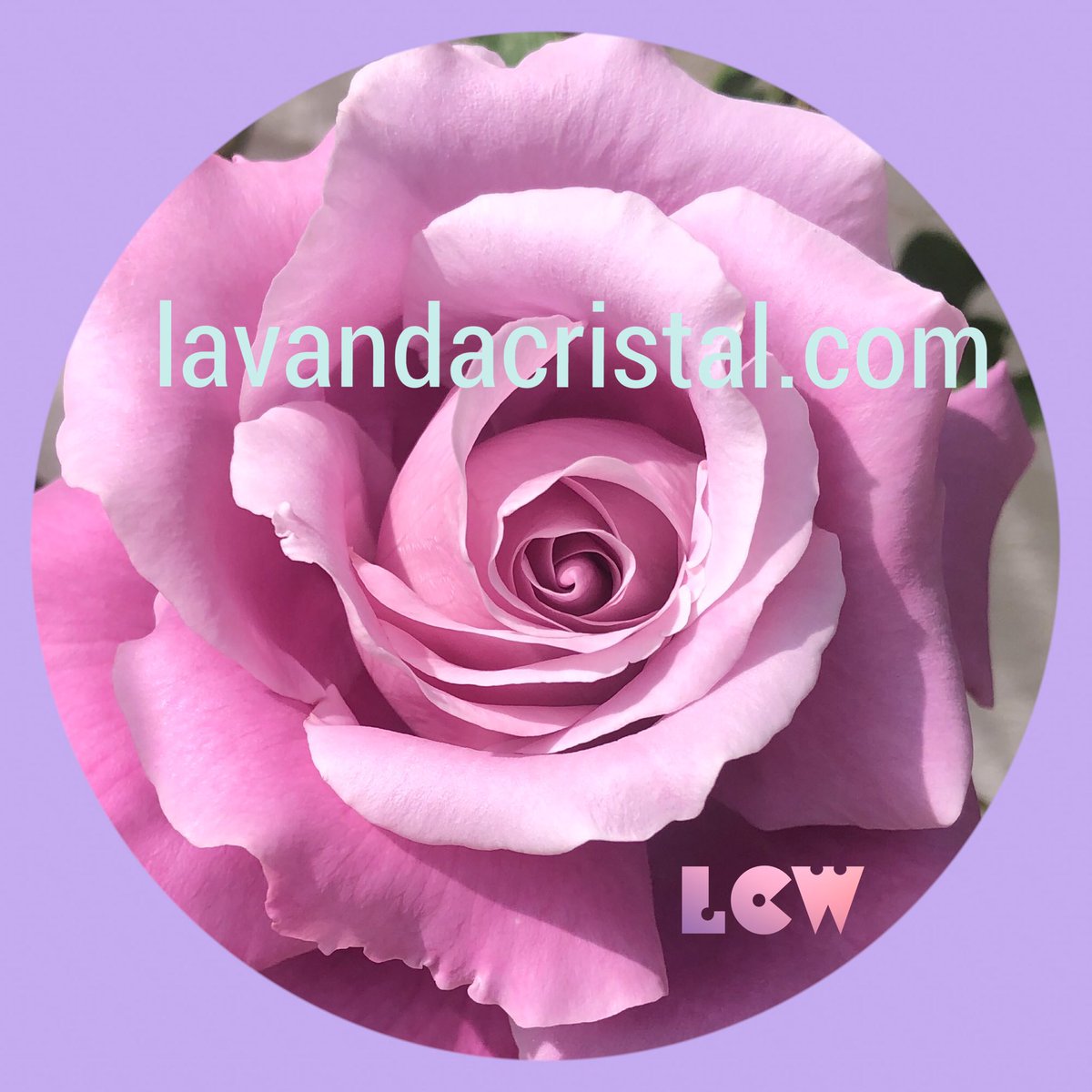 Llega el verano y comienza el trabajo intenso de recopilación y reflexión para  preparar los nuevos proyectos del otoño…