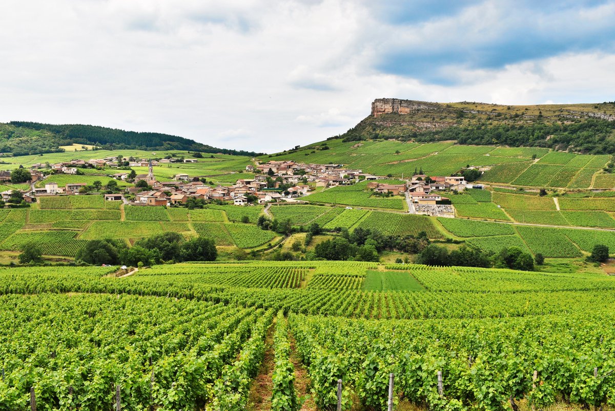 La magnifique commune viticole de Vergisson dans le #Mâconnais