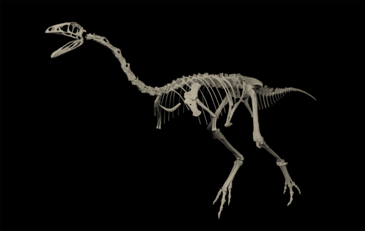 Claire Peyre de Fabrègues tweet media