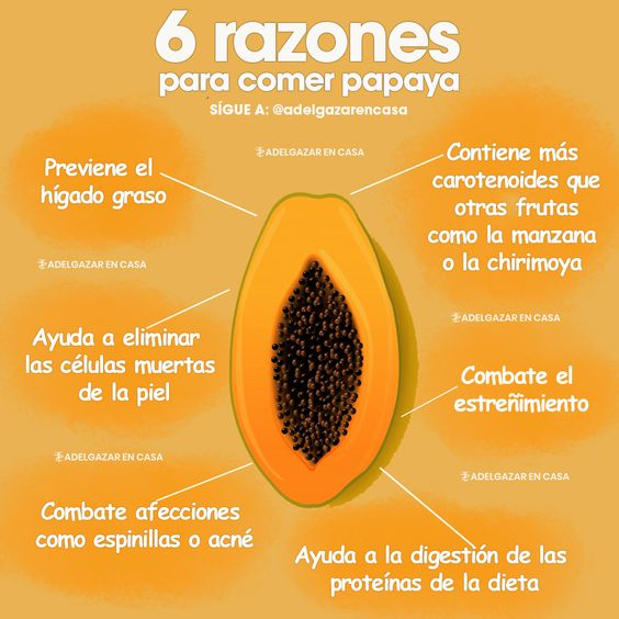 SaludableTublog's tweet photo. Estas son las mejores razones para incluir la papaya en tu dieta. 
#Buenasatodos 
#viernes 
#gentehermosa
#lima #peru y el #mundo https://t.co/5d60eULN0Y