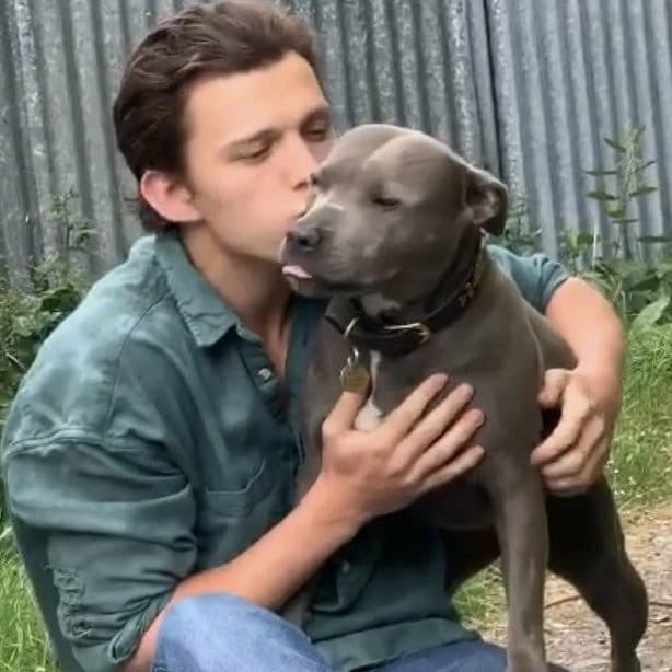 fvqrless's tweet photo. hola soy la mejor tom y shawn stan ellos me aman y yo los amo si vos sos una tom y shawn stan te odio te odio te odio https://t.co/4vVh81rStf