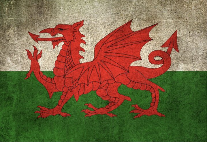 флаг с драконом страна. флаг вейлс дракон. флаг с драконом. флаг бутана. флаг с драконом страна.