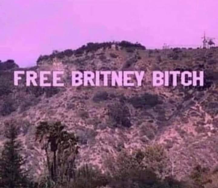 Zombie_Queen80's tweet photo. #FreeBritney https://t.co/ZJjCshtIPp