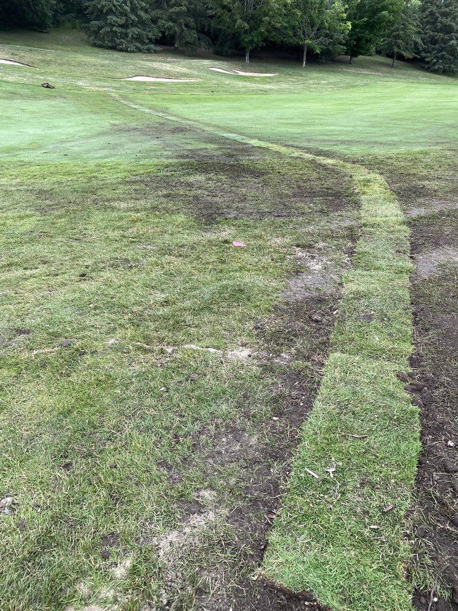 pgccgreens tweet media